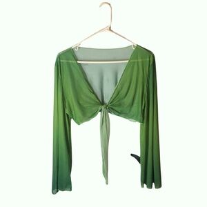 🚫SOLD🚫 SHEIN Retro 70’s Green Long Sleeve Front Tie V-Neck Mesh Crop Top